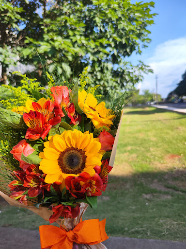 Photo from customer review